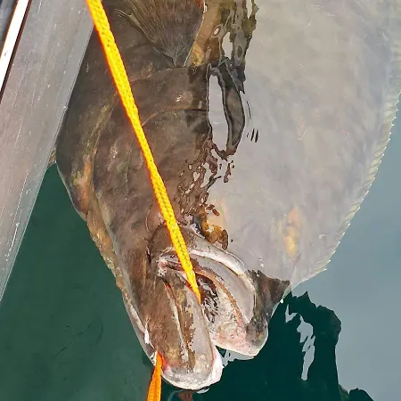 8 Person In Tatil Evi