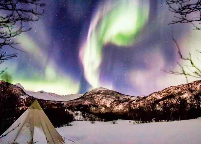 8 Person In * Stonglandseidet