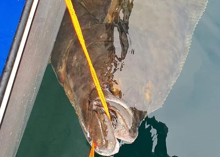 8 Person In Hébergement de vacances